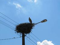 Radtour entlang des Oberländer Kanals