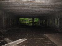 Besuch der Wolfsschanze