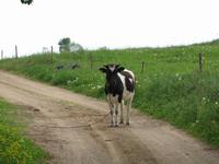 Radtour nach Nikolaiken 