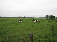 Radtour zum Philipponen-Kloster und nach Krutyñ