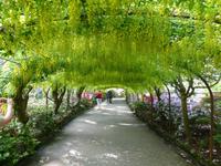 Bodnant Garden
