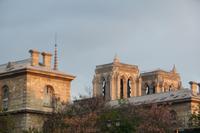 Seine - Bootsfahrt - Ile de la Cite - Notre Dame