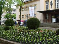 am Kurhaus