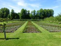 Penshurst - Union Jack aus Rosen und Lavendel