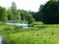Penshurst Place - Woodland Trail