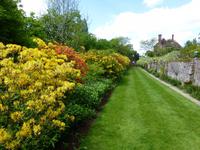 Sissinghurst Castle - Rhododendronhecke