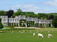 West Dean Garden - Blick zum Schloss