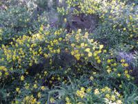 SAM_0535