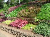 SAM_0542