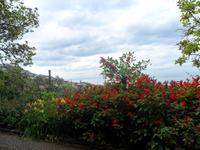 SAM_0543