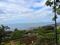 SAM_0544