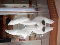 SAM_0551