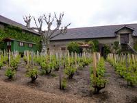 Weinmuseum 