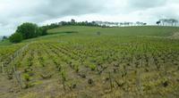 Fahrt durch die Weinberge des Beaujolais