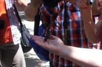 Rundgang in Anacapri