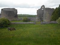 Burgruine in Roscommon