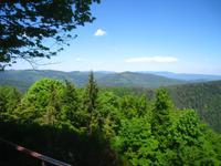 Vogesen vom Mt. St. Odile