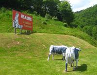 Käserei im Münstertal