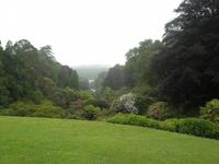 Trebah Garden