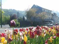 Wanderung rund um Clervaux