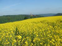 Wanderung rund um Clervaux
