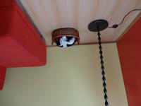 Im Haus 