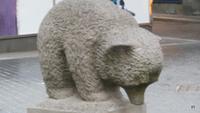 Bär in St.Gallen 