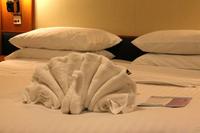 Ein Pfau saß in meiner Kabine!