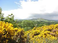 Scotts View, Borders