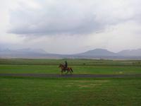 Trittarten der Islandpferde