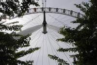London Eye