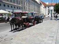und natürlich die berühmten Fiaker