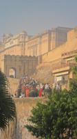 272 Amber Fort - Elefantentrasse