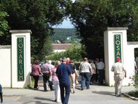 wieder ein neuer Tag  -  Baden bei Wien, das 