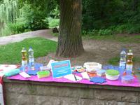 Picknick am 