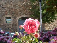 im Klostergarten von Poblet, einfach schön