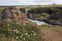 Wasserfall Godafoss - 