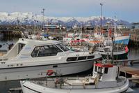 Fischerstadt Húsavik