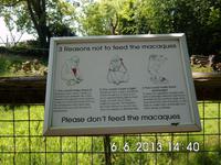 Nettes Schild bei den Makaken