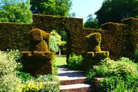 134 Knightshayes Court