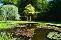 135 Knightshayes Court