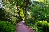 140 Knightshayes Court