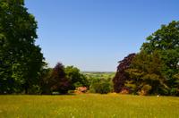 146 Knightshayes Court