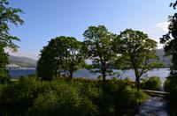 355 Fort William