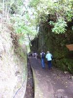 Entlang der Levada