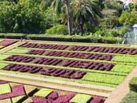 Jardim Botanico