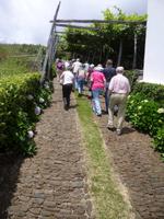 Auf dem Weg zur Weinverkostung