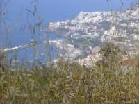 Ausblick auf Funchal