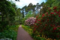 487 Inverewe Garden