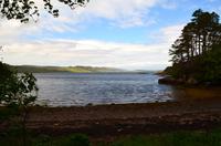 489 Inverewe Garden, Loch Ewe